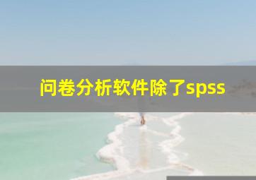 问卷分析软件除了spss