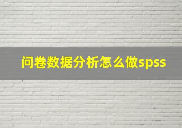 问卷数据分析怎么做spss