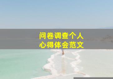 问卷调查个人心得体会范文