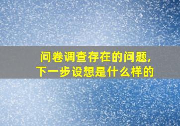 问卷调查存在的问题,下一步设想是什么样的