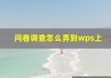 问卷调查怎么弄到wps上