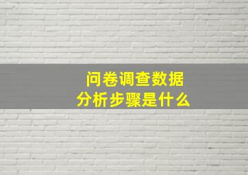 问卷调查数据分析步骤是什么