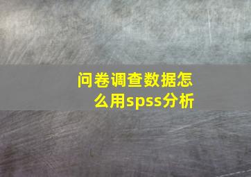 问卷调查数据怎么用spss分析