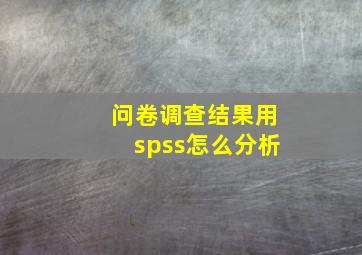 问卷调查结果用spss怎么分析