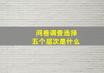 问卷调查选择五个层次是什么