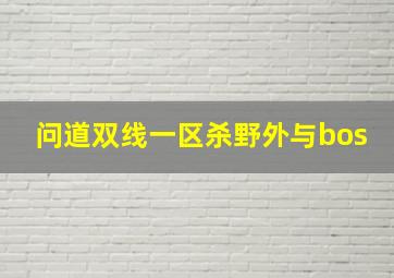 问道双线一区杀野外与bos