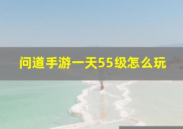 问道手游一天55级怎么玩