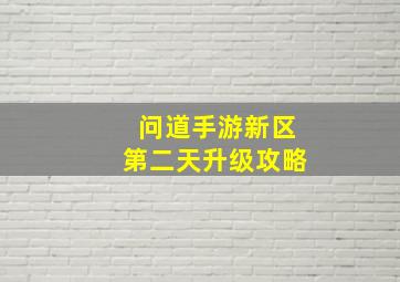 问道手游新区第二天升级攻略