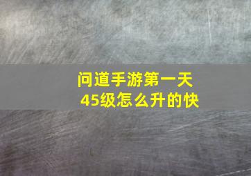 问道手游第一天45级怎么升的快