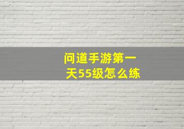 问道手游第一天55级怎么练