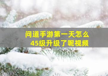 问道手游第一天怎么45级升级了呢视频