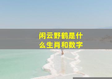 闲云野鹤是什么生肖和数字