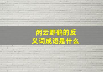 闲云野鹤的反义词成语是什么