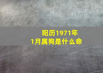 阳历1971年1月属狗是什么命