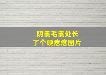 阴囊毛囊处长了个硬疙瘩图片