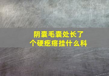 阴囊毛囊处长了个硬疙瘩挂什么科