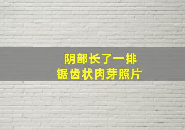 阴部长了一排锯齿状肉芽照片