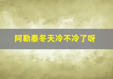 阿勒泰冬天冷不冷了呀