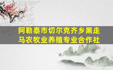 阿勒泰市切尔克齐乡黑走马农牧业养殖专业合作社