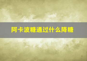 阿卡波糖通过什么降糖