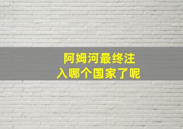 阿姆河最终注入哪个国家了呢