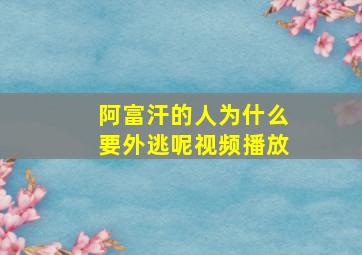 阿富汗的人为什么要外逃呢视频播放