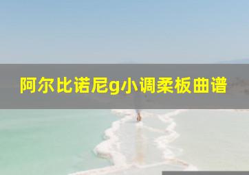 阿尔比诺尼g小调柔板曲谱