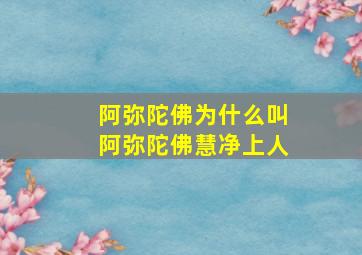 阿弥陀佛为什么叫阿弥陀佛慧净上人