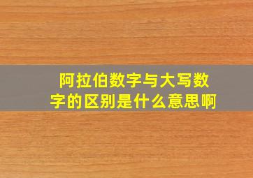 阿拉伯数字与大写数字的区别是什么意思啊