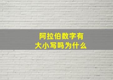 阿拉伯数字有大小写吗为什么