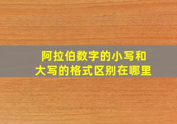 阿拉伯数字的小写和大写的格式区别在哪里