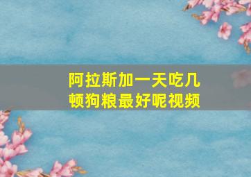 阿拉斯加一天吃几顿狗粮最好呢视频