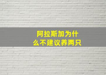 阿拉斯加为什么不建议养两只