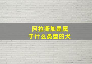 阿拉斯加是属于什么类型的犬