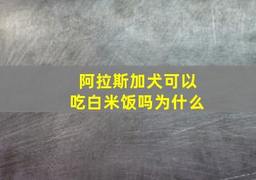 阿拉斯加犬可以吃白米饭吗为什么