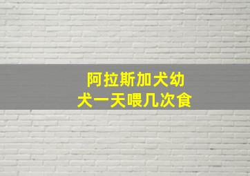 阿拉斯加犬幼犬一天喂几次食