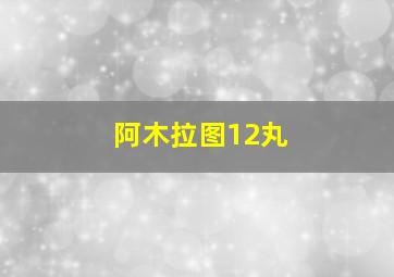 阿木拉图12丸