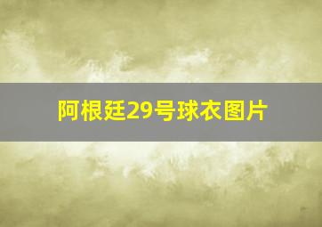 阿根廷29号球衣图片