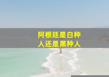 阿根廷是白种人还是黑种人