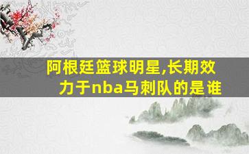 阿根廷篮球明星,长期效力于nba马刺队的是谁