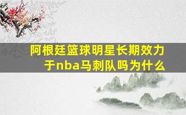 阿根廷篮球明星长期效力于nba马刺队吗为什么