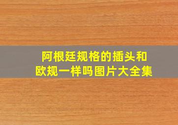 阿根廷规格的插头和欧规一样吗图片大全集