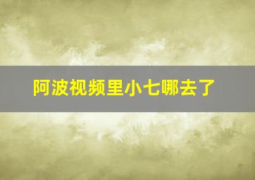 阿波视频里小七哪去了