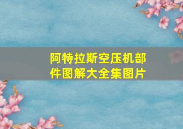 阿特拉斯空压机部件图解大全集图片