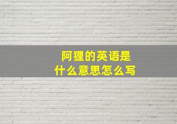 阿狸的英语是什么意思怎么写