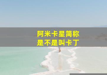 阿米卡星简称是不是叫卡丁