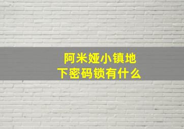 阿米娅小镇地下密码锁有什么