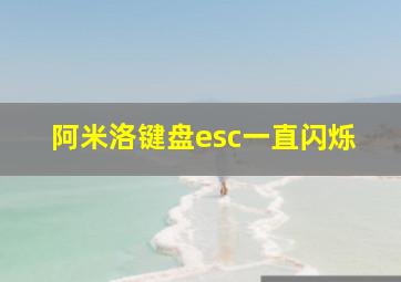 阿米洛键盘esc一直闪烁