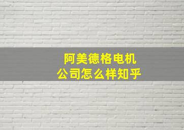 阿美德格电机公司怎么样知乎