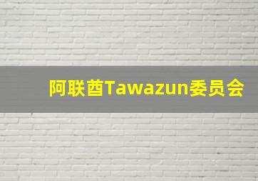 阿联酋Tawazun委员会